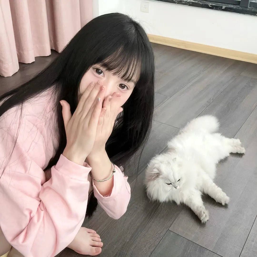 小鸟之翼第二季